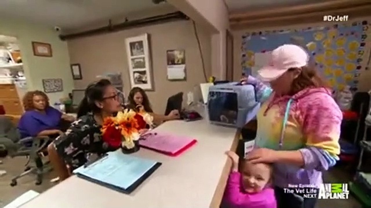 Dr. Jeff - Rocky Mountain Vet - Se2 - Ep11 HD Watch