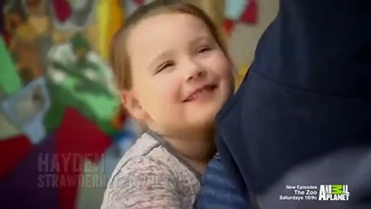 Dr. Jeff - Rocky Mountain Vet - Se3 - Ep05 HD Watch