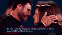 Liam & Steffy Moment Makes Hope Insecure, Divorce Story coming Soon- The Bold an