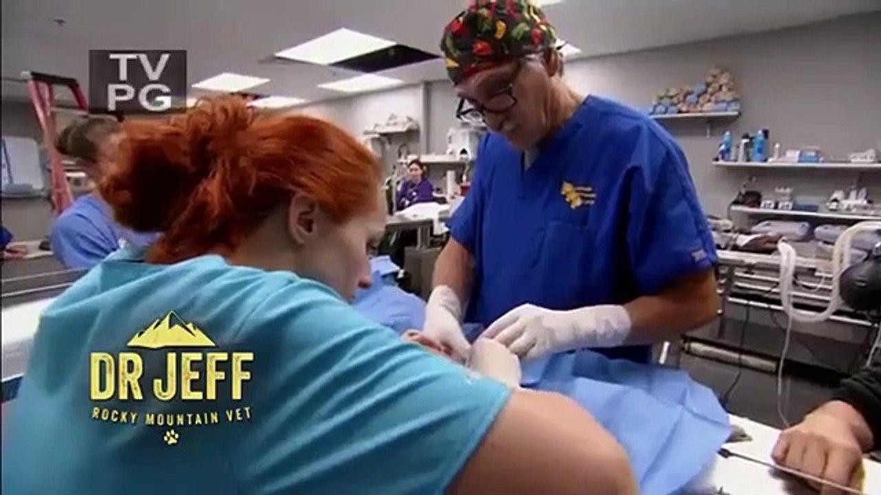 Dr. Jeff - Rocky Mountain Vet - Se3 - Ep12 HD Watch
