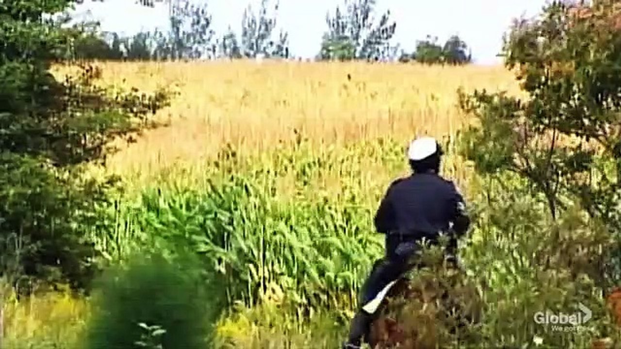 Crime Beat - Se2 - Ep02 - Who Killed Sonia HD Watch