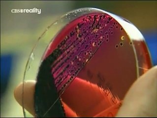 Forensic Files - Se2 - Ep13 HD Watch