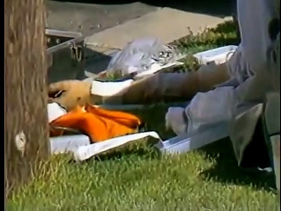 Forensic Files - Se2 - Ep11 HD Watch