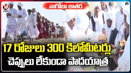 Special Report On Nagoba Jatara : Mesrams Fetch Gangajal From Godavari | Mancherial | V6 News