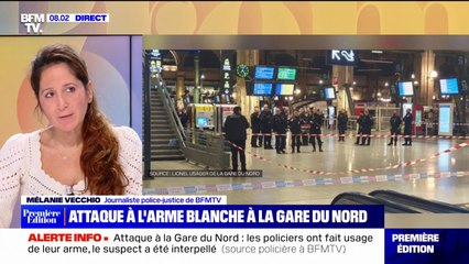 Download Video: Paris: un homme blesse plusieurs personnes à l'arme blanche à la gare du Nord avant d'être neutralisé