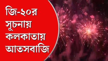 জি-২০  সম্মেলনের সূচনায় আলো-আতসবাজির প্রদর্শনী