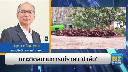 เกาะติดสถานการณ์ราคา ‘ปาล์ม’ - เช็คราคา ‘ผัก-ผลไม้’ ช่วงตรุษจีน
