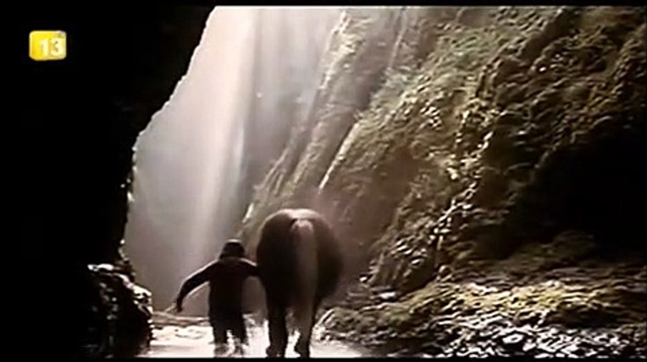 Three Warriors Bande-annonce (ES)