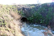 Edirne'nin kanalizasyon suları Tunca Nehri'ne akıyor