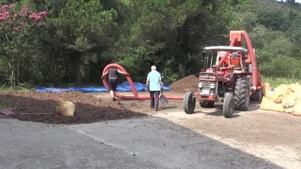 Giresun Ticaret Borsası fındık zurufundan pelet üretecek