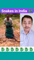 Snakes in india #shorts #youtubeshorts #viral