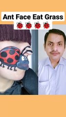 Ant Face eat grass #shorts #youtubeshorts #viral
