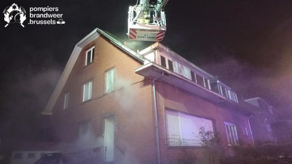 Des chats et un canaris périssent dans un incendie rue Rabelais à Anderlecht