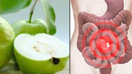 अमरूद खाने के नुकसान । खाली पेट अमरूद खाना चाहिए या नहीं । Boldsky