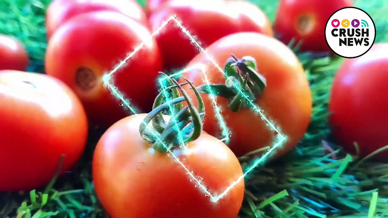 Toda la verdad del flechazo entre Miguel Ángel Silvestre y la actriz turca Hande Erçel