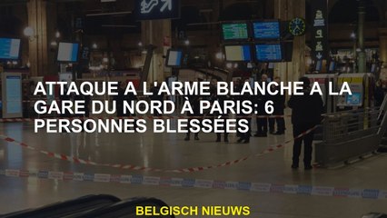 Attentat à l'arme à la Gare du Nord à Paris : 6 blessés