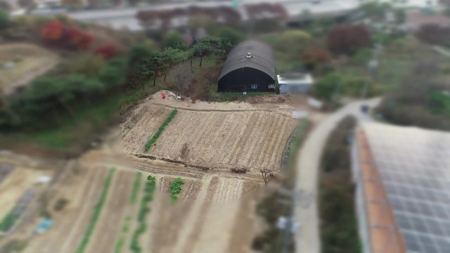 대리 농사에 위장 전입에...3기 신도시 불법 투기 여전 / YTN