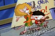 Pinky and the Brain Pinky and the Brain S02 E016 Hoop Schemes