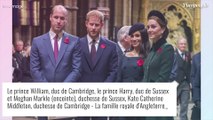 Prince Harry : Son collier cassé par le prince William, un porte-bonheur ? Il en dévoile la signification