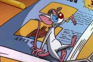 Pinky and the Brain Pinky and the Brain S03 E010 Pinky’s Plan