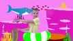 Baby shark song - kids song sing and dance by Dima Family Show - Cocokids TV - Nursery Rhymes, Kids Songs, Cartoons and Fun Kids Videos for Children
