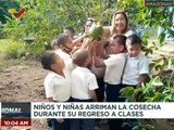 Amazonas | Alumnos de la U.E. Vicente Campo Elías impulsan patio productivo en su regreso a clases