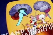 Pinky and the Brain Pinky and the Brain S03 E013 A Meticulous Analysis of History