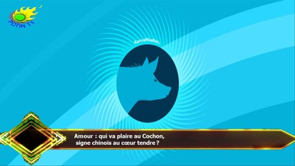 Amour : qui va plaire au Cochon,  signe chinois au cœur tendre ?
