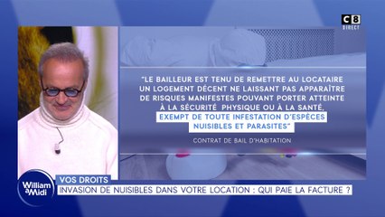 Vos droits : Invasion de nuisibles dans votre location : qui paie la facture ?