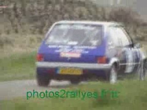 Vignes de Régnié 2008