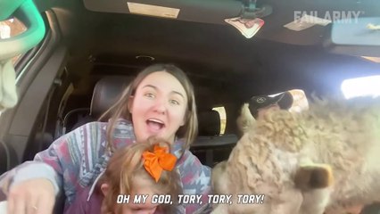 I Get Knocked Down Fails Of The Week | Prankfull