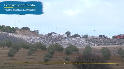Hallan restos humanos de Ángel, el niño de 11 años desaparecido en Madrid el pasado 10 de diciembre