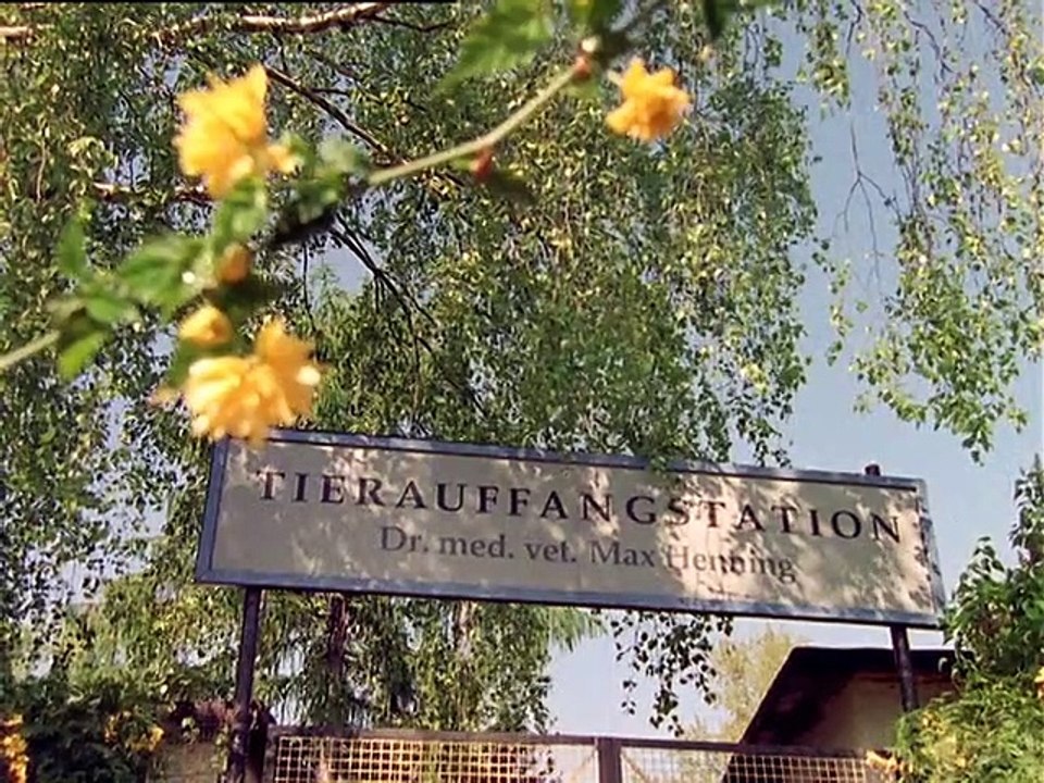 Unser Charly Staffel 11 Folge 1