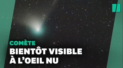Cette comète n'a pas été aperçue depuis le Paléolithique