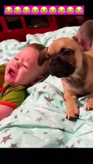 The dog is sympathetic to the child with depression