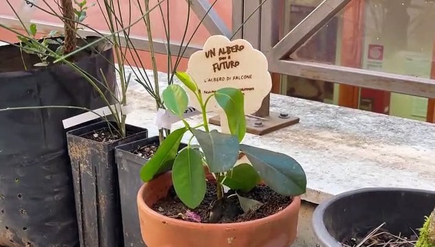 Aba Catanzaro, Carabinieri e Comune assieme per la tutela ambientale, la cultura della legalità e la valorizzazione dei luoghi