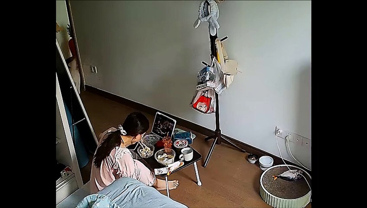 Quand ton chat vient tester la stabilité de ta table basse