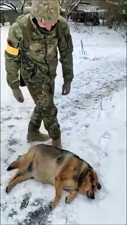 Les renforts sont arrivés en Ukraine... Gros materiel