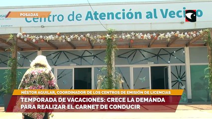 Temporada de vacaciones: crece la demanda para realizar el carnet de conducir