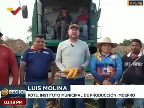 Apure | Ejecutan Plan de Siembra de Maíz Amarillo en 40 hectáreas a través de los consejos comunales