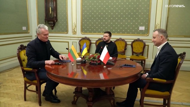 Польша и Литва поставят Украине танки и зенитные комплексы