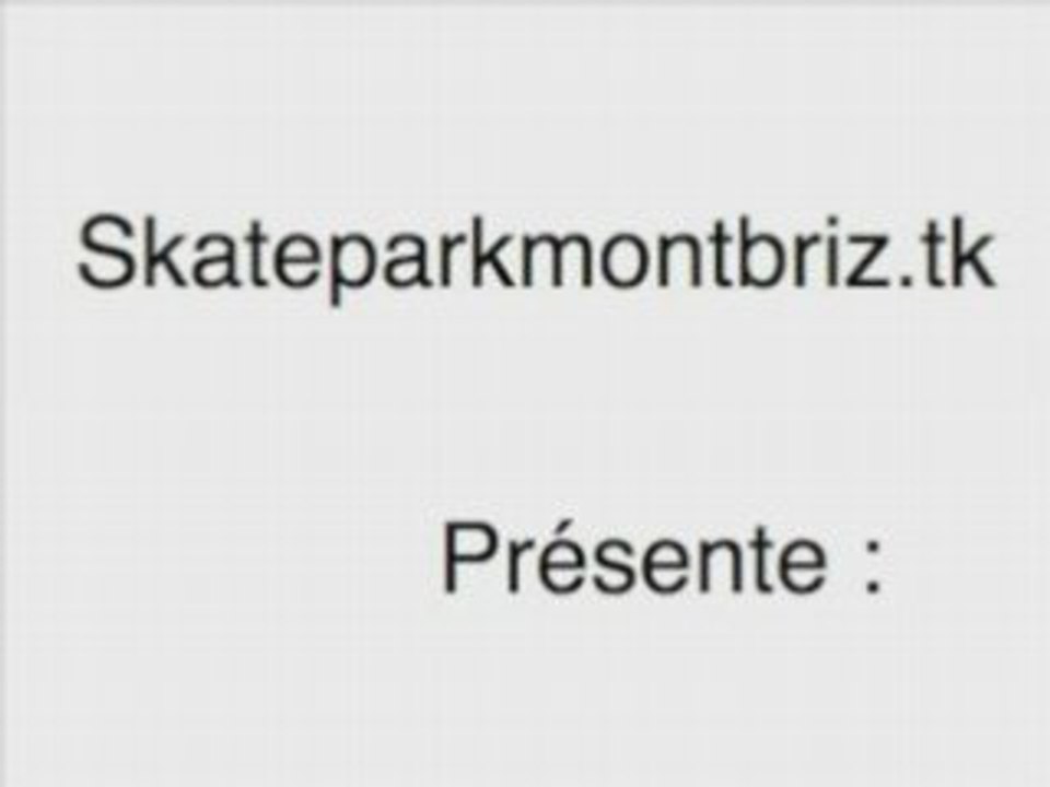 skateparkmontbriz1
