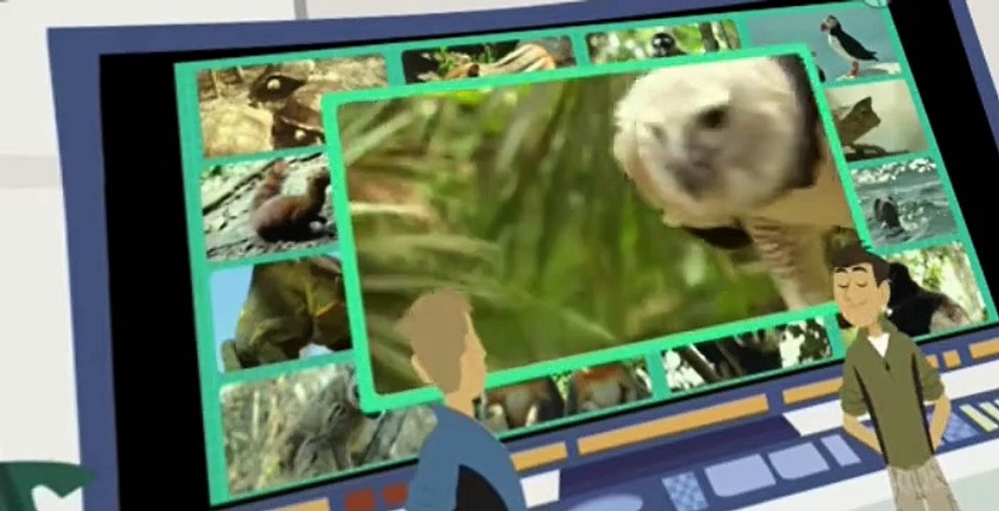 Wild Kratts S04 E14