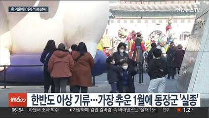 한겨울에 3월 봄날씨…유럽 이어 한국도 '이상고온'