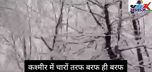 #कश्मीर में जमकर हो रही बर्फबारी, शाम-रात तक और तेज होगा स्‍नोफॉल