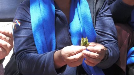 Bolivia busca "la desclasificación de la hoja de coca de la lista como estupefaciente"