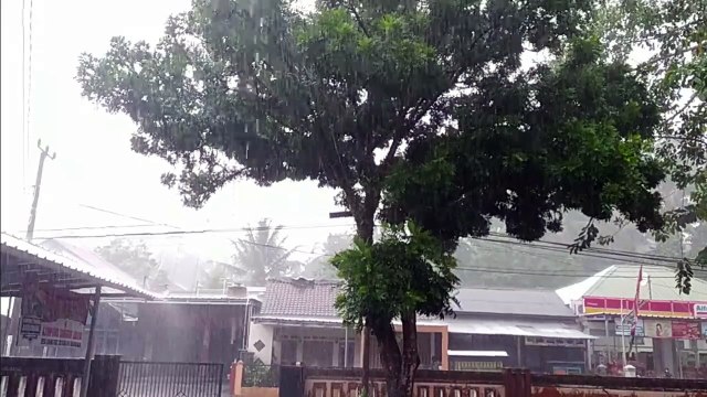 Sounds Of Rain And Thunder For Sleep - 99% Instantly Fall Asleep With Rain Sound At Night,focus study