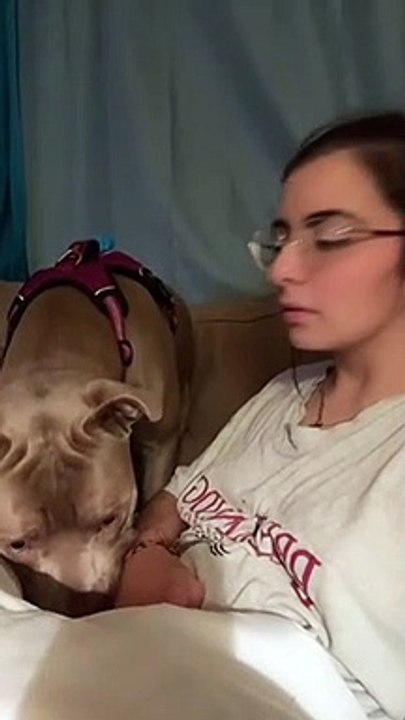Dog lover