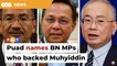Take action against BN MPs who backed Muhyiddin, says Puad