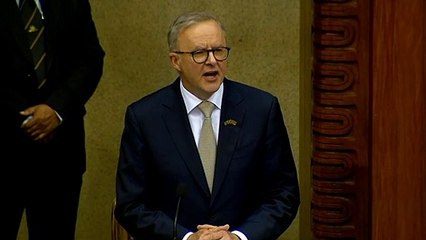 Anthony Albanese makes historic address to Papua New Guinea parliament